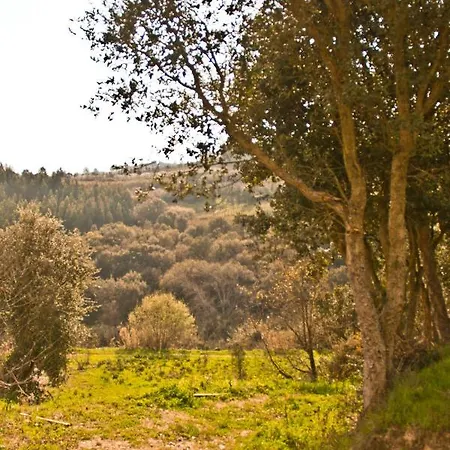 Da Colina Panzió Bombarral